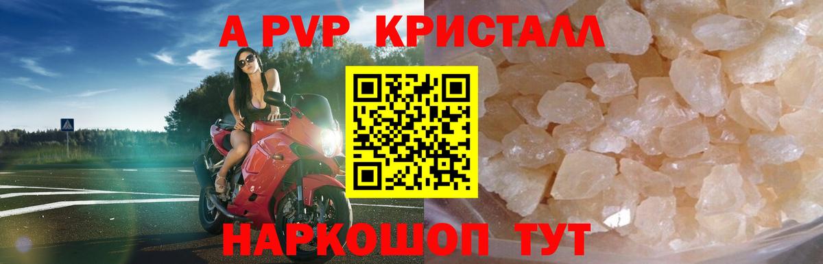 Псилоцибиновые грибы Кострома