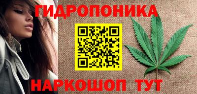 Альфа ПВП Краснознаменск